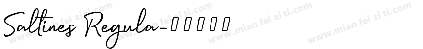Saltines Regula字体转换